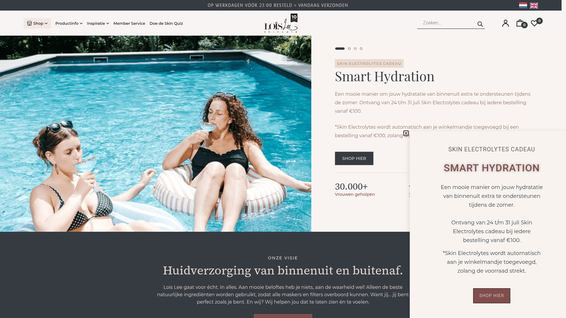 Voorbeeld van de Loïs Lee website